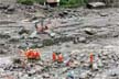 Himachal Pradesh cloudbursts death count rises to 28 as 6 more bodies found